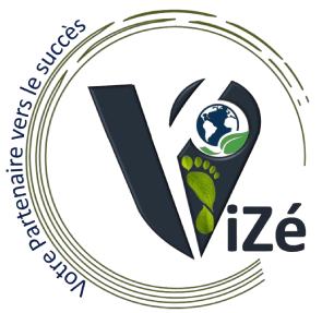 vize consulting